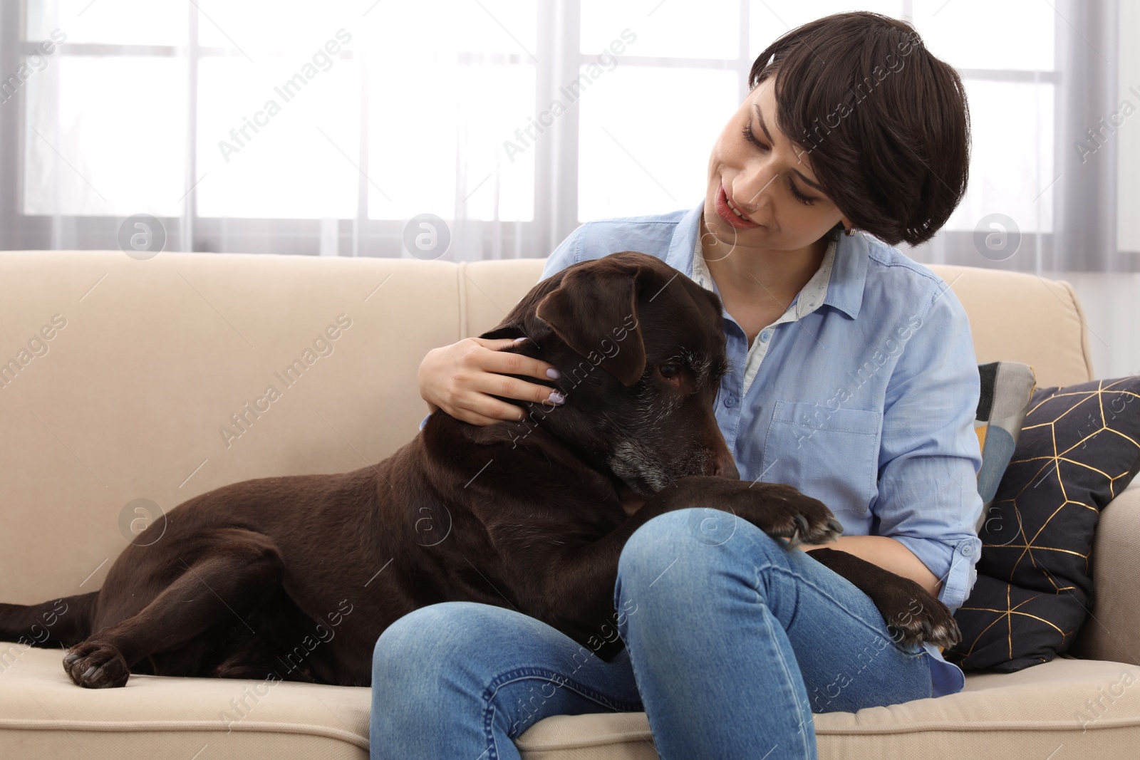 Photo of Adorable brown labrador retriever with owner on couch indoors