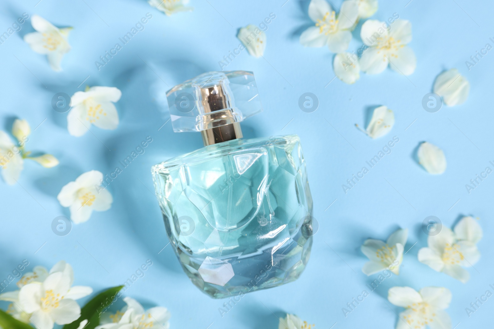 Photo of Aromatic perfume in bottle and beautiful jasmine flowers on light blue background, flat lay