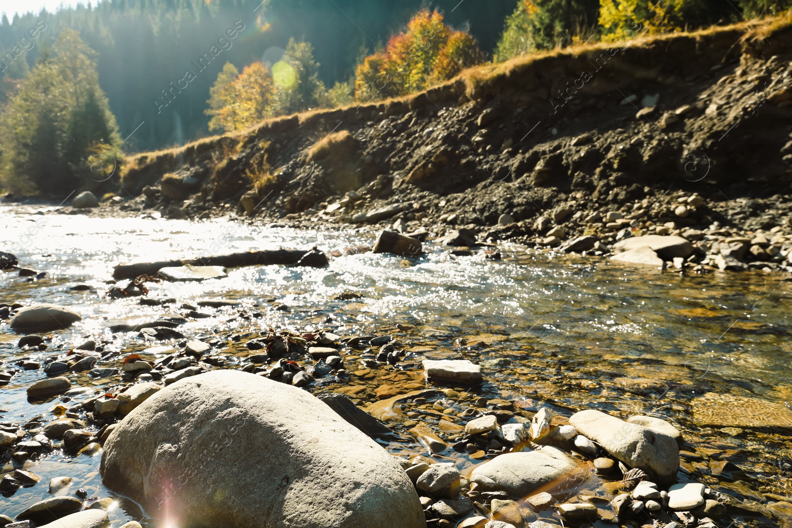 Photo of Beautiful view of small river on sunny day. Picturesque landscape