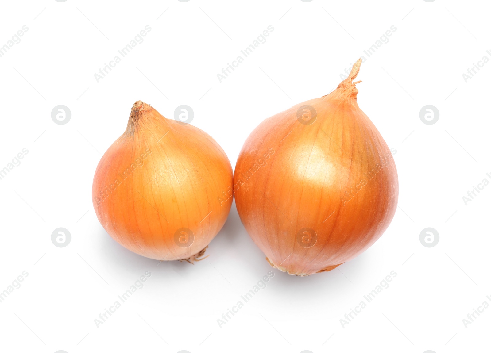 Photo of Fresh ripe onion bulbs on white background