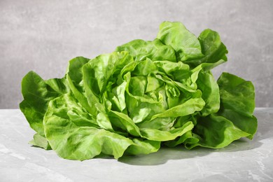 Fresh green butter lettuce on grey marble table