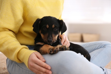 Woman with cute puppy indoors, closeup. Lovely pet