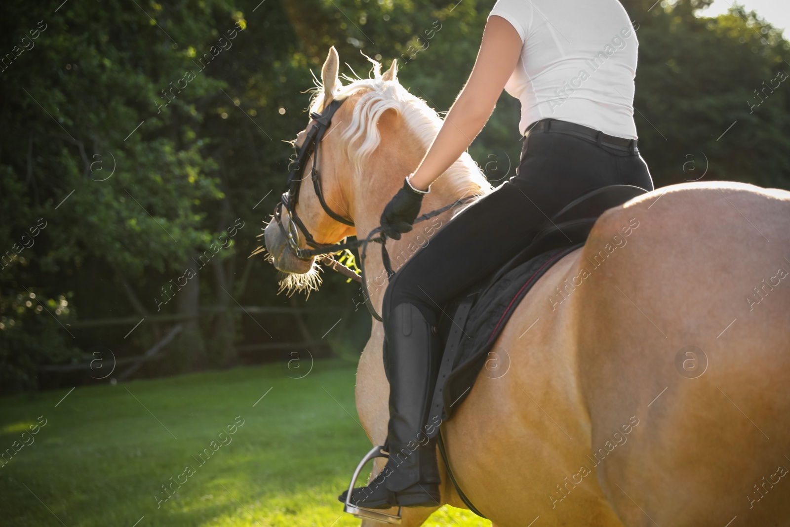 Photo of Young woman in equestrian suit riding horse outdoors on sunny day, closeup. Beautiful pet