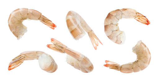 Image of Collage of raw shrimps on white background, Banner design