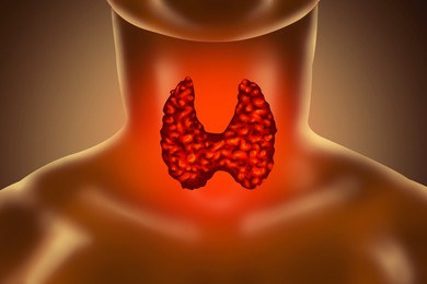 Illustration of  human thyroid gland on color background