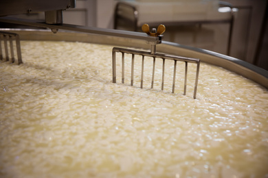 Curd and whey in tank at cheese factory