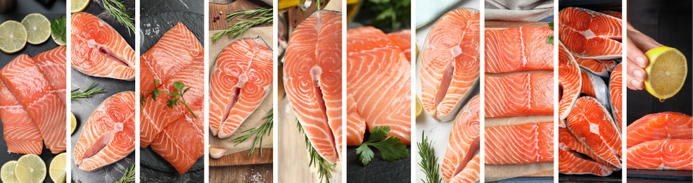 Image of Collage with fresh raw salmon, banner design. Delicious fish