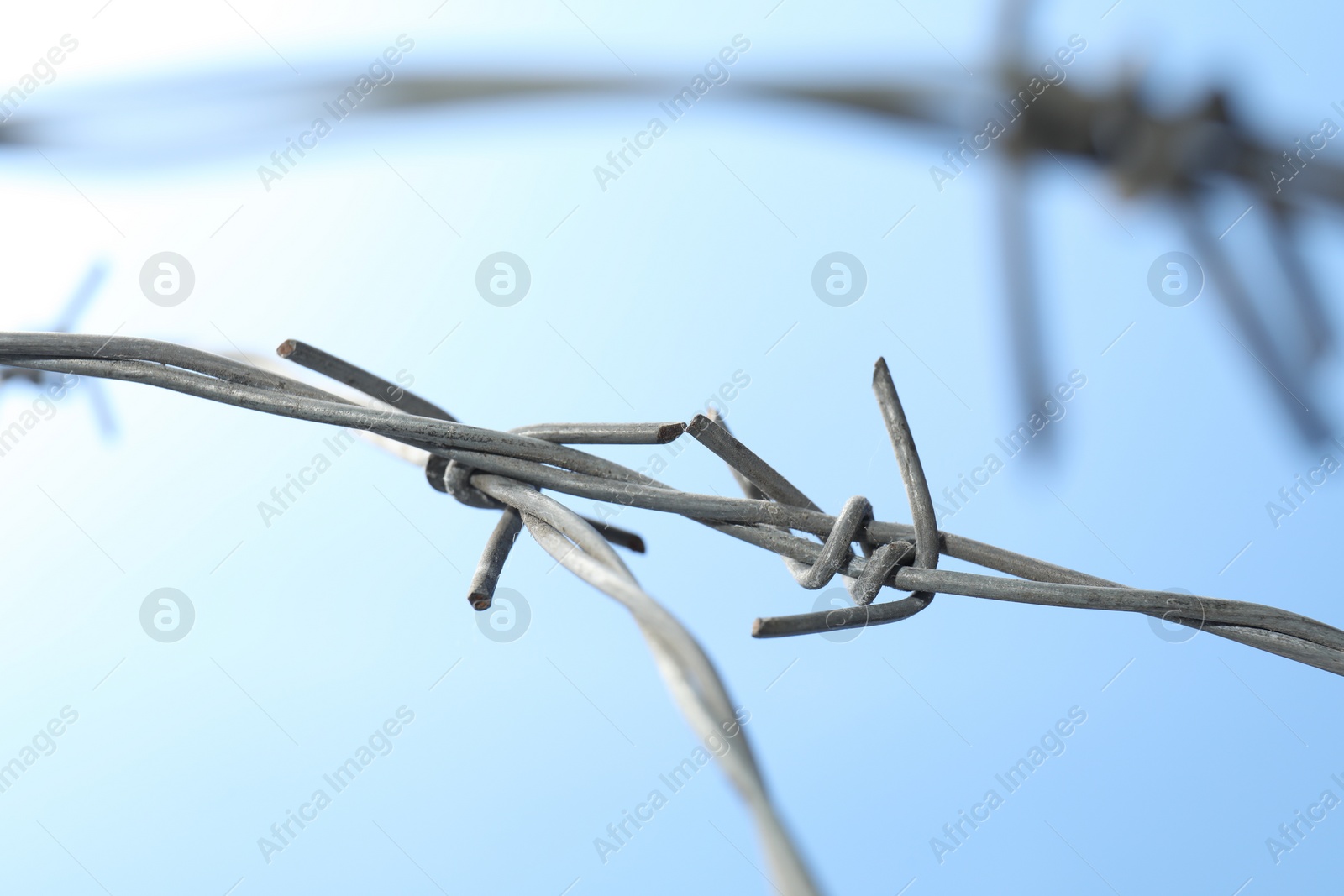 Photo of Metal barbed wire on light blue background, closeup