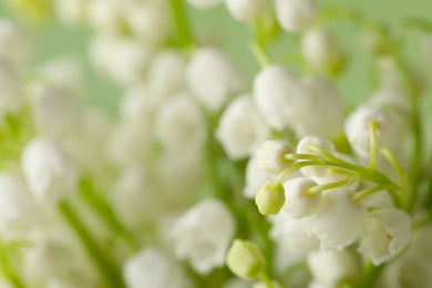 Beautiful lily of the valley flowers on green background, closeup