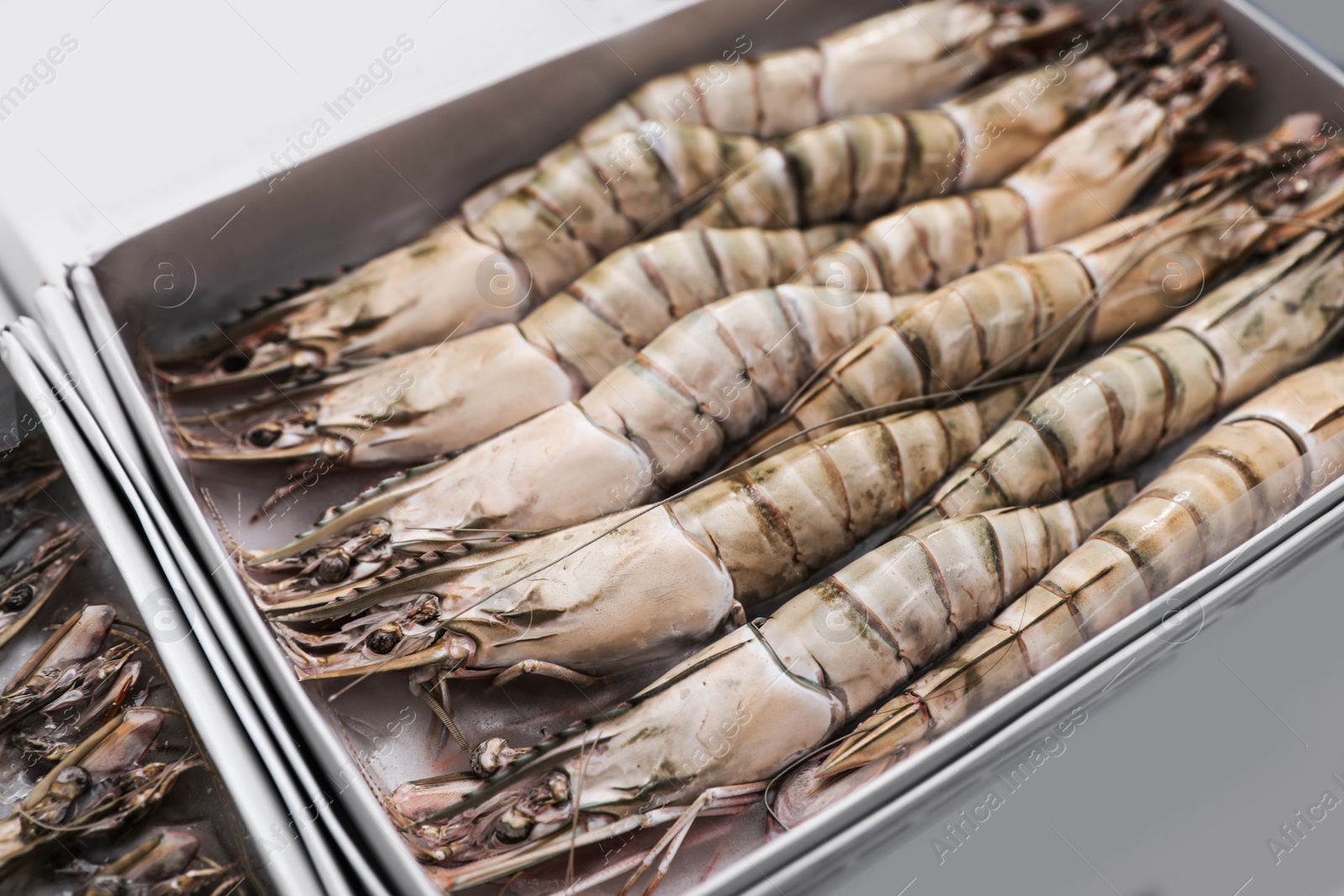 Photo of Package with fresh black tiger shrimps, closeup. Wholesale market