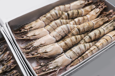 Package with fresh black tiger shrimps, closeup. Wholesale market