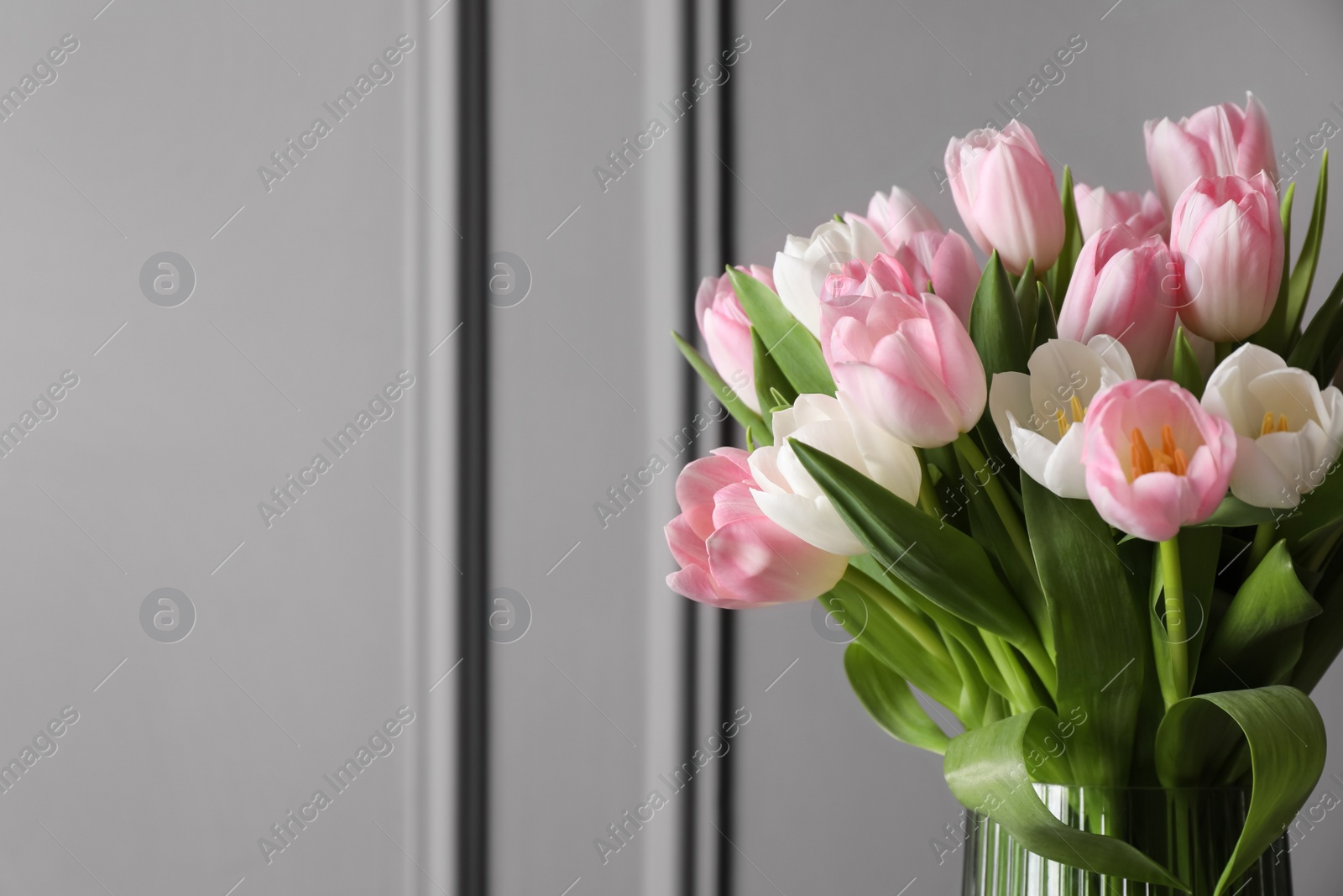 Photo of Beautiful bouquet of tulips in glass vase against grey wall. Space for text