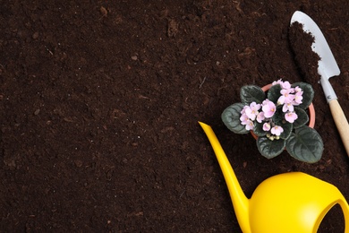 Photo of Gardening tools and potted plant on soil, flat lay. Space for text