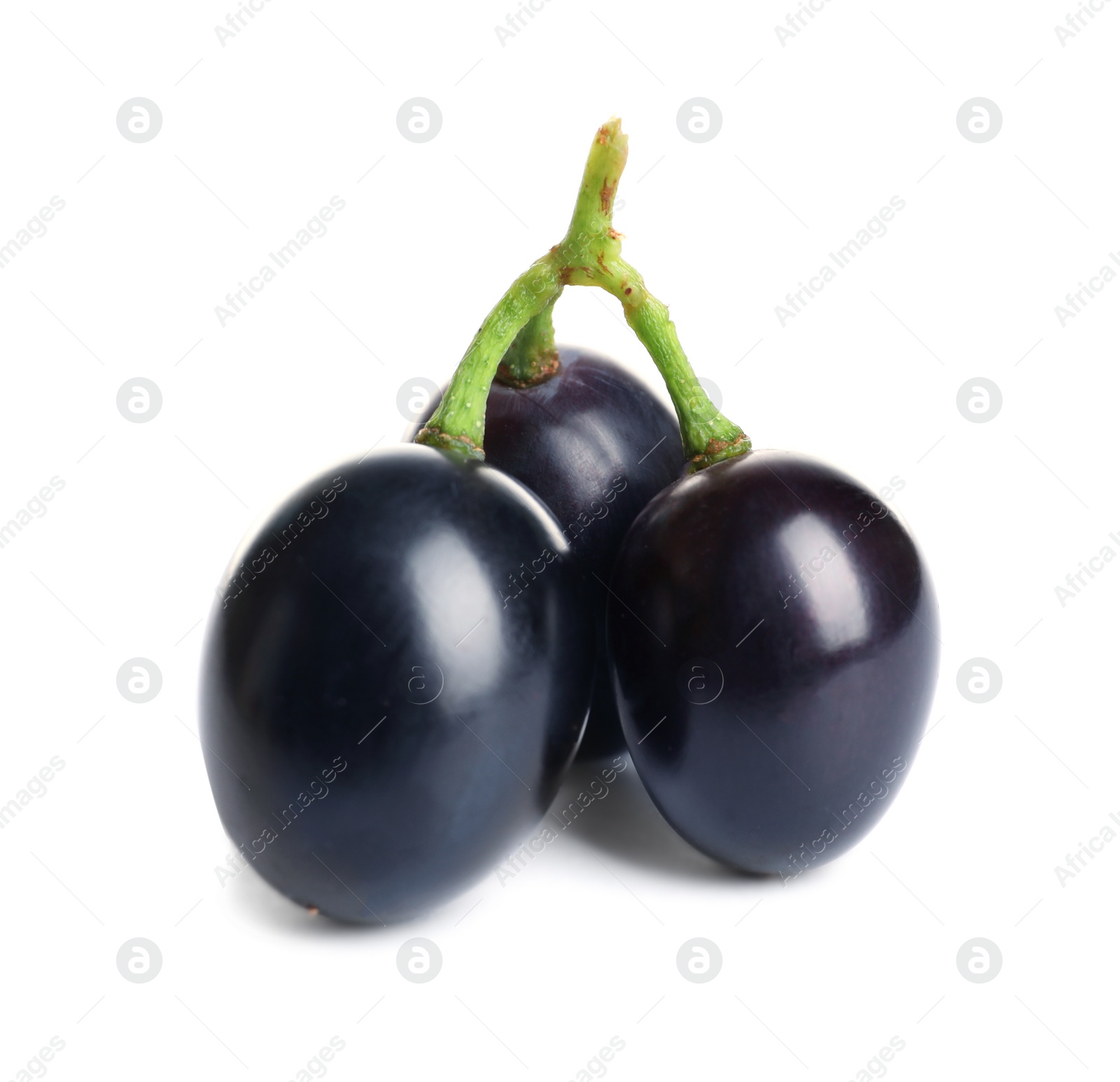 Photo of Fresh ripe juicy grapes isolated on white