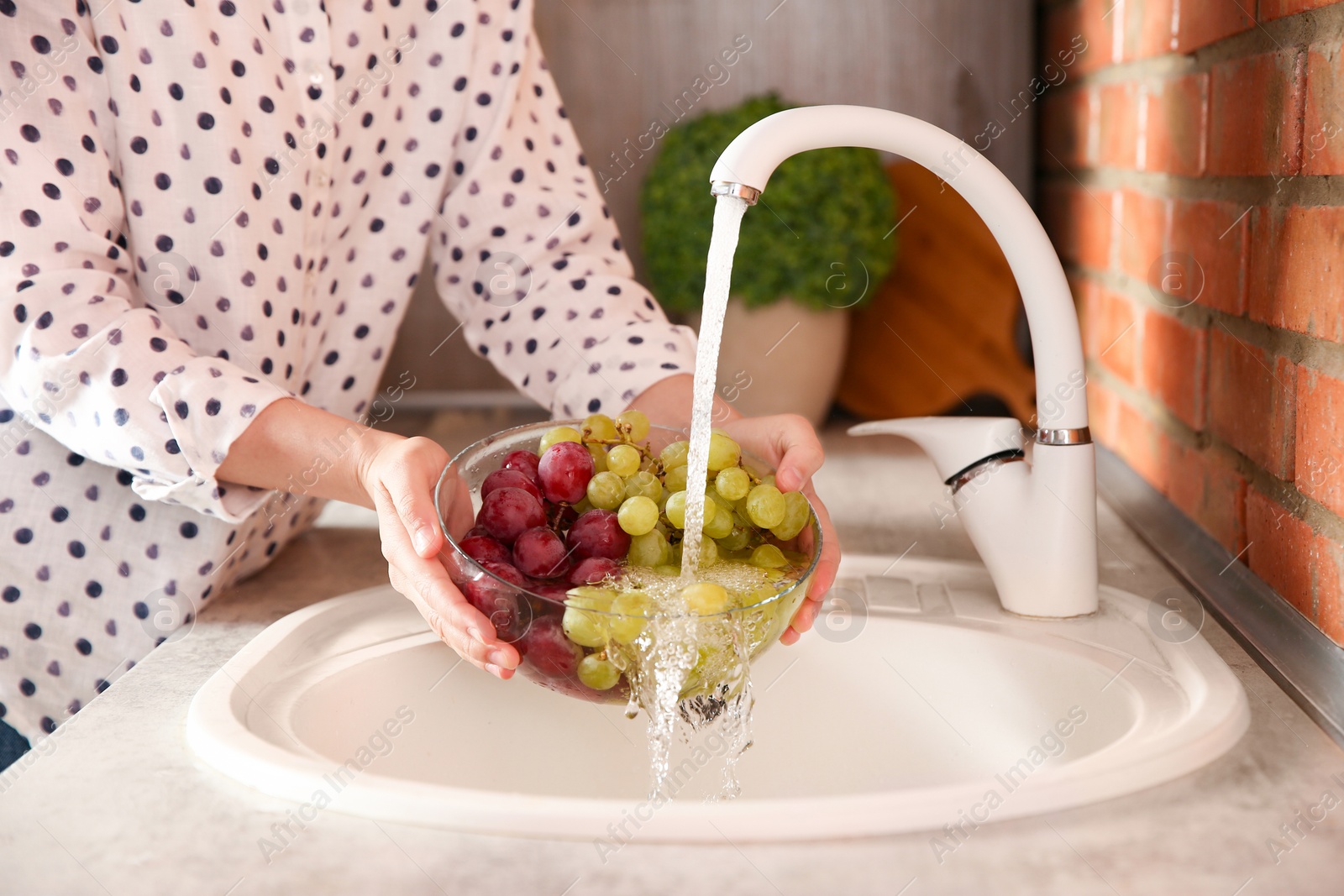 Photo of Woman washing fresh grapes in kitchen sink, closeup