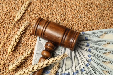 Photo of Dollar banknotes, wooden gavel and wheat ears on grains, above view. Agricultural business