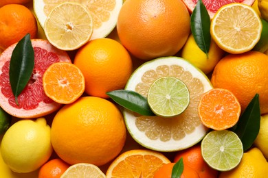 Photo of Different ripe citrus fruits with green leaves as background, top view
