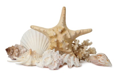 Photo of Beautiful starfish, coral and sea shells on white background