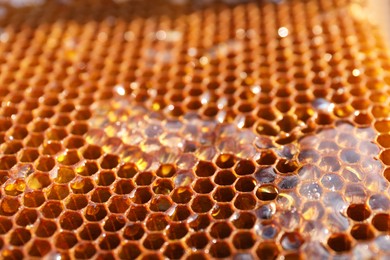 Uncapped filled honeycomb as background, closeup view