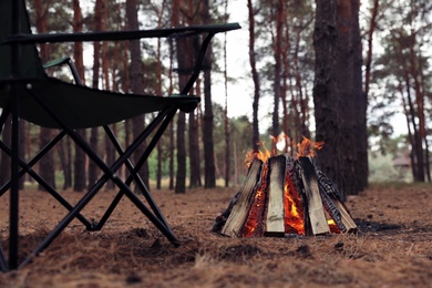 Photo of Beautiful bonfire with burning firewood near chair in forest
