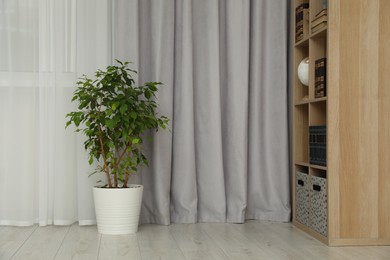 Photo of Living room with light gray window curtain, bookcase and potted plant