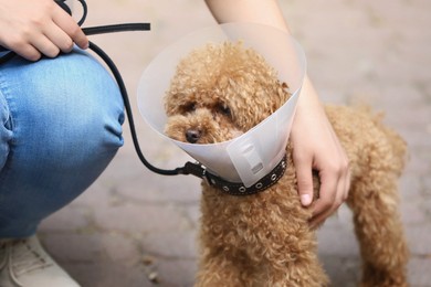 Photo of Woman with her cute Maltipoo dog in Elizabethan collar outdoors, closeup