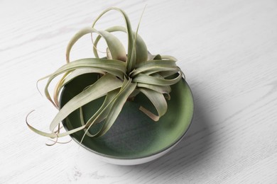 Photo of Beautiful tillandsia plant in bowl on white wooden table. House decor