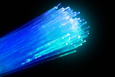 Image of Optical fiber strands transmitting green and blue light on black background, macro view