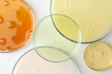 Petri dishes with different liquid samples on white background, top view