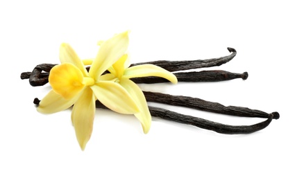 Photo of Aromatic vanilla sticks and flowers on white background