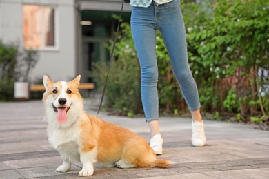 Photo of Woman with her adorable Pembroke Welsh Corgi dog outdoors