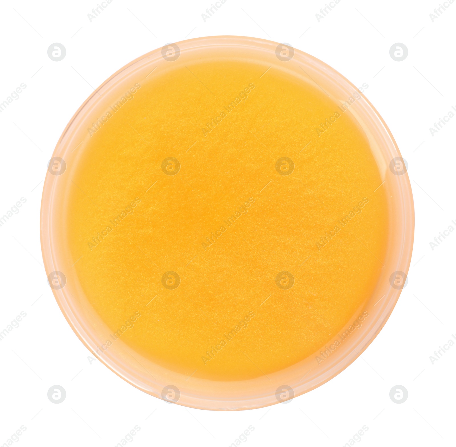 Photo of Orange slime in plastic container isolated on white, top view. Antistress toy