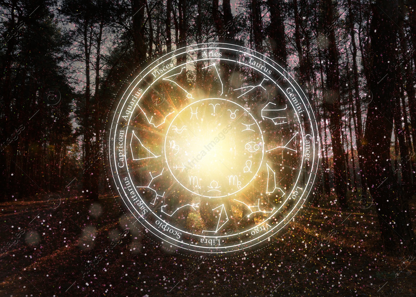 Zodiac wheel with 12 astrological signs and star constellations and forest landscape on background Image of Zodiac wheel with 12 astrological signs and star constellations and forest landscape on background