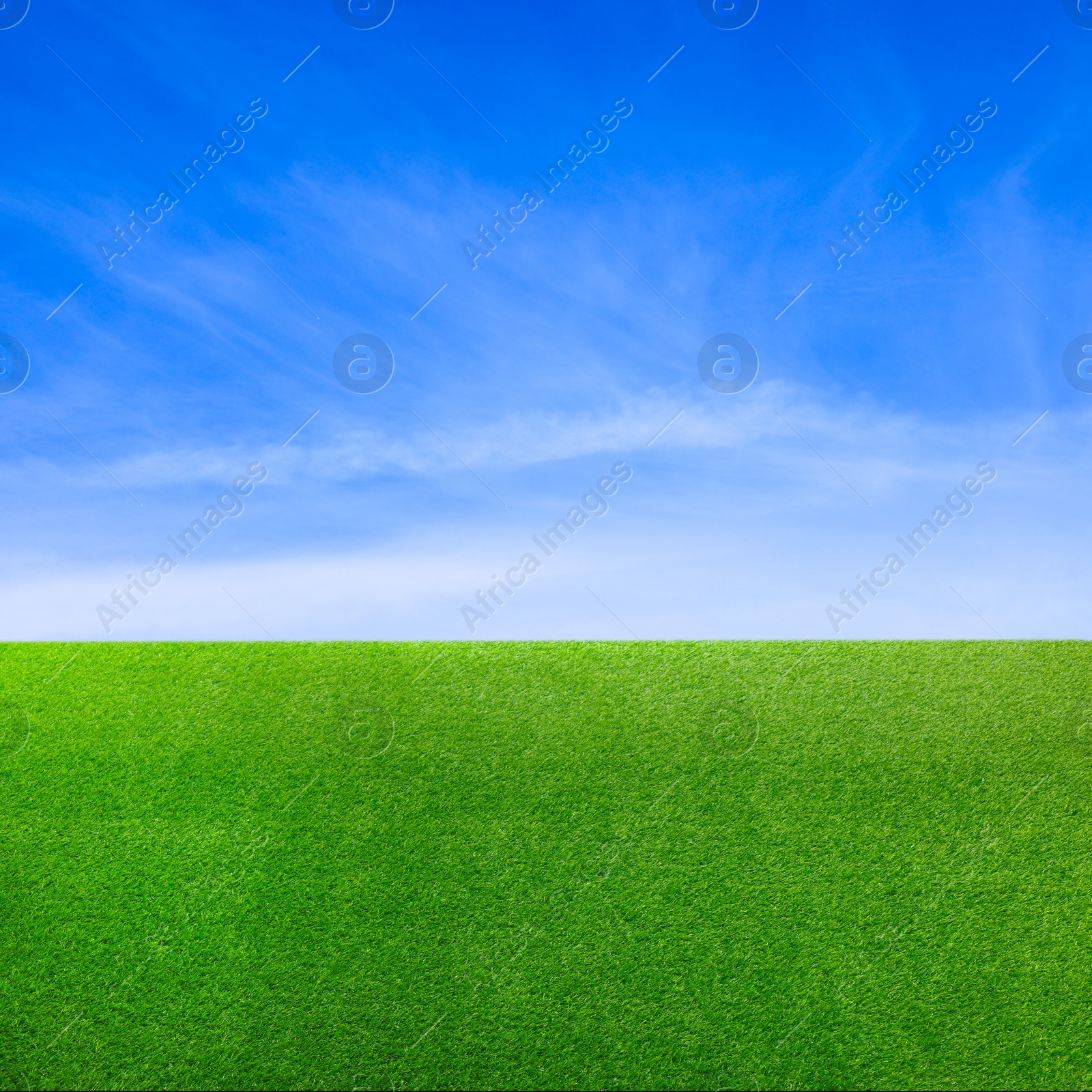 Image of Green grass under blue sky with clouds