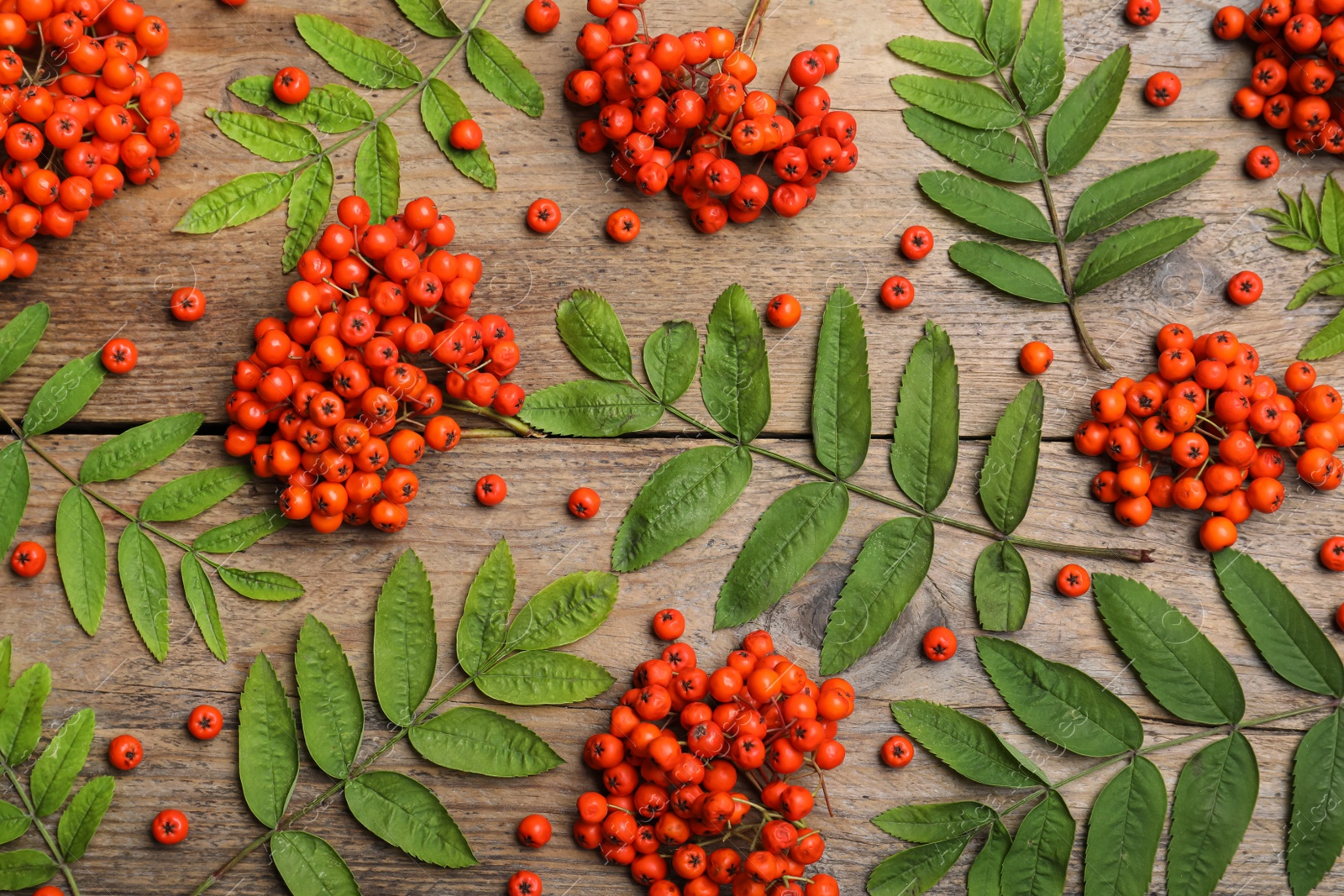 Photo of Fresh ripe rowan berries and green leaves on wooden table, flat lay