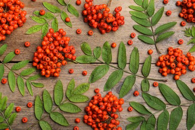 Fresh ripe rowan berries and green leaves on wooden table, flat lay