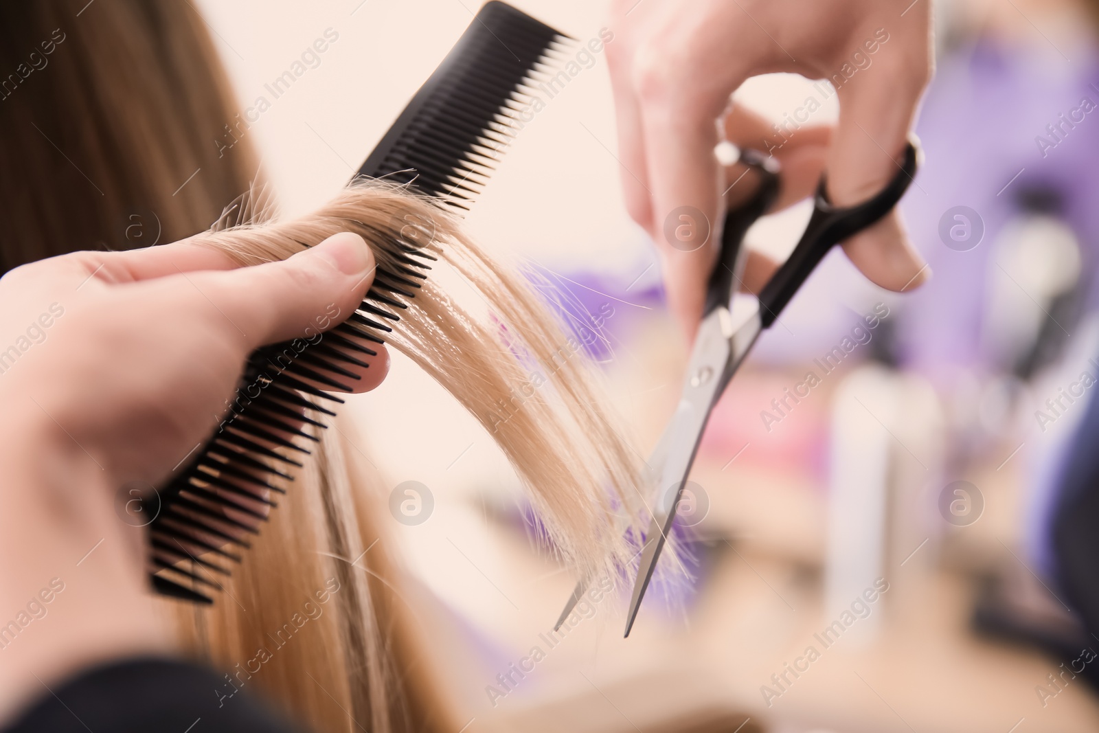 Photo of Professional hairdresser working with client in salon