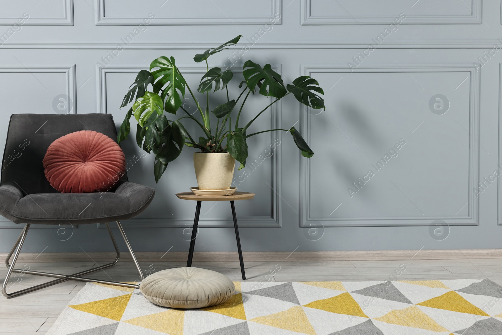 Photo of Comfortable armchair, pillows and green houseplant indoors, space for text