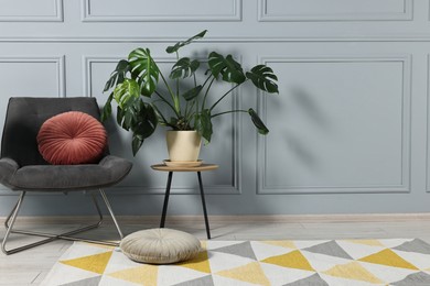 Comfortable armchair, pillows and green houseplant indoors, space for text