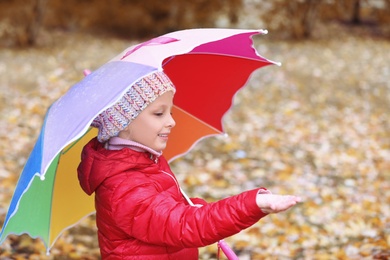 Photo of Little girl with umbrella in autumn park on rainy day