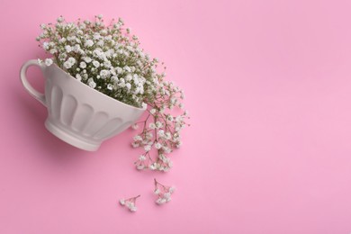 Photo of Beautiful gypsophila in white cup on pink background, top view. Space for text