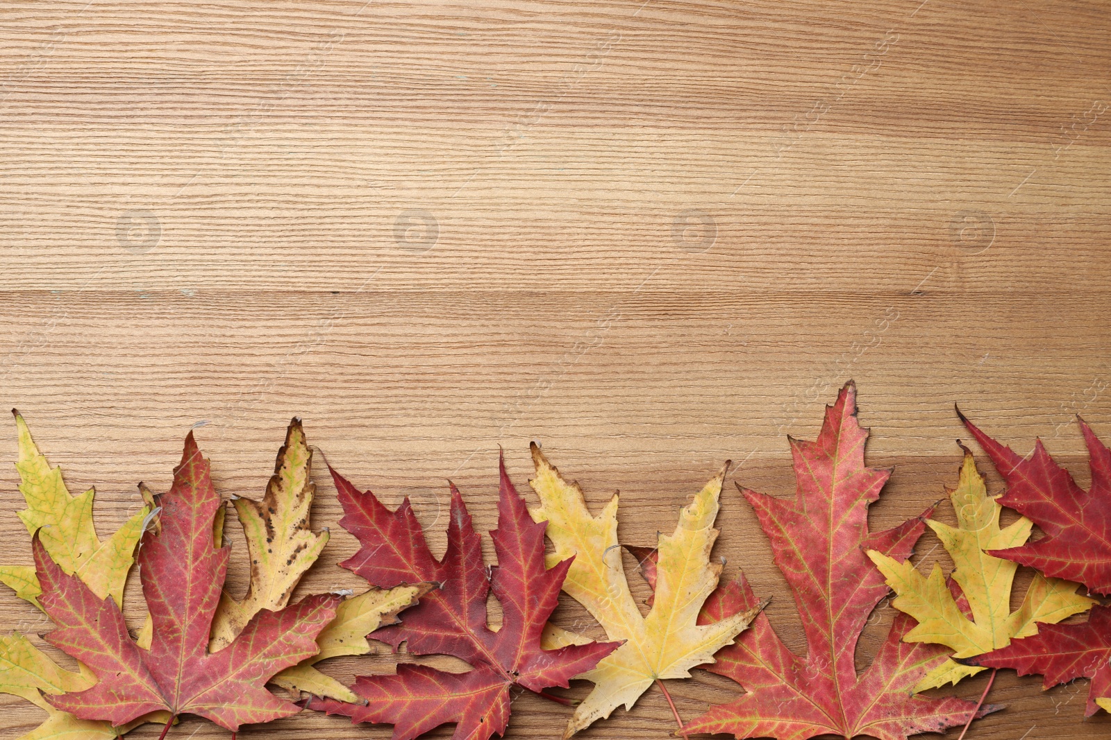 Photo of Dry autumn leaves of Japanese maple tree on wooden table, flat lay. Space for text