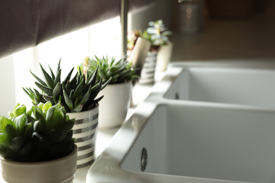 Photo of Houseplants near sink in kitchen, closeup. Interior design