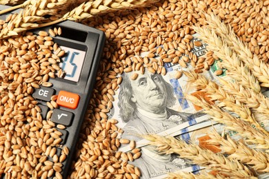 Photo of Dollar banknotes, calculator and wheat ears on grains, closeup. Agricultural business