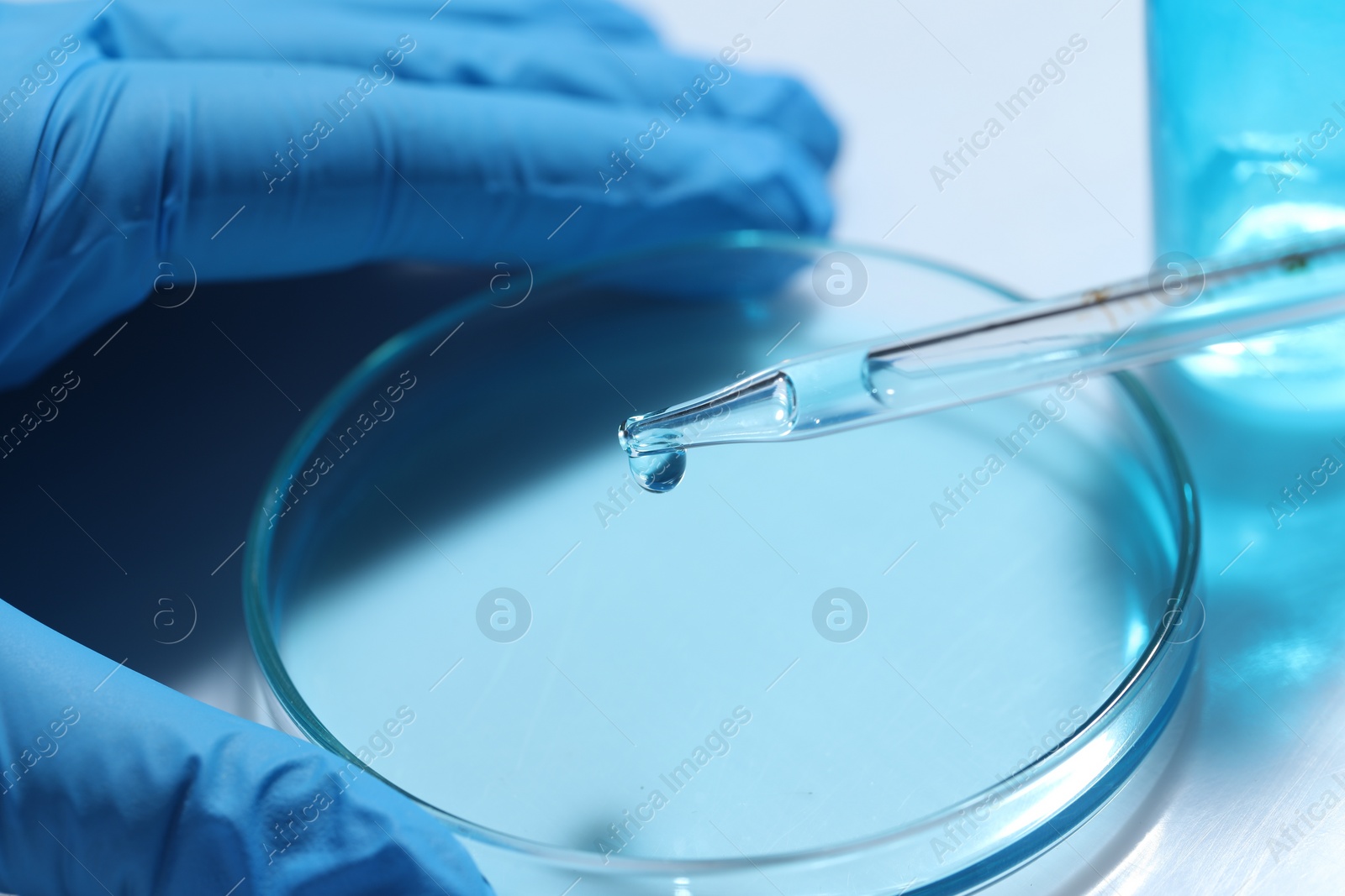 Photo of Scientist dripping liquid from pipette into petri dish at white table, closeup