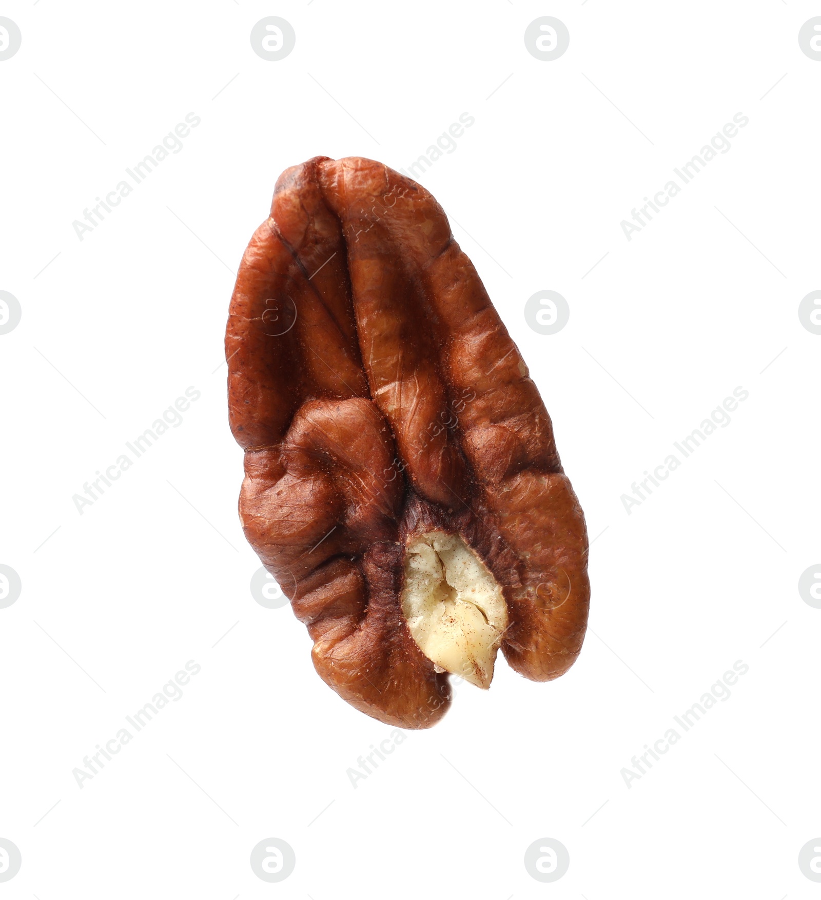 Photo of One tasty pecan nut isolated on white