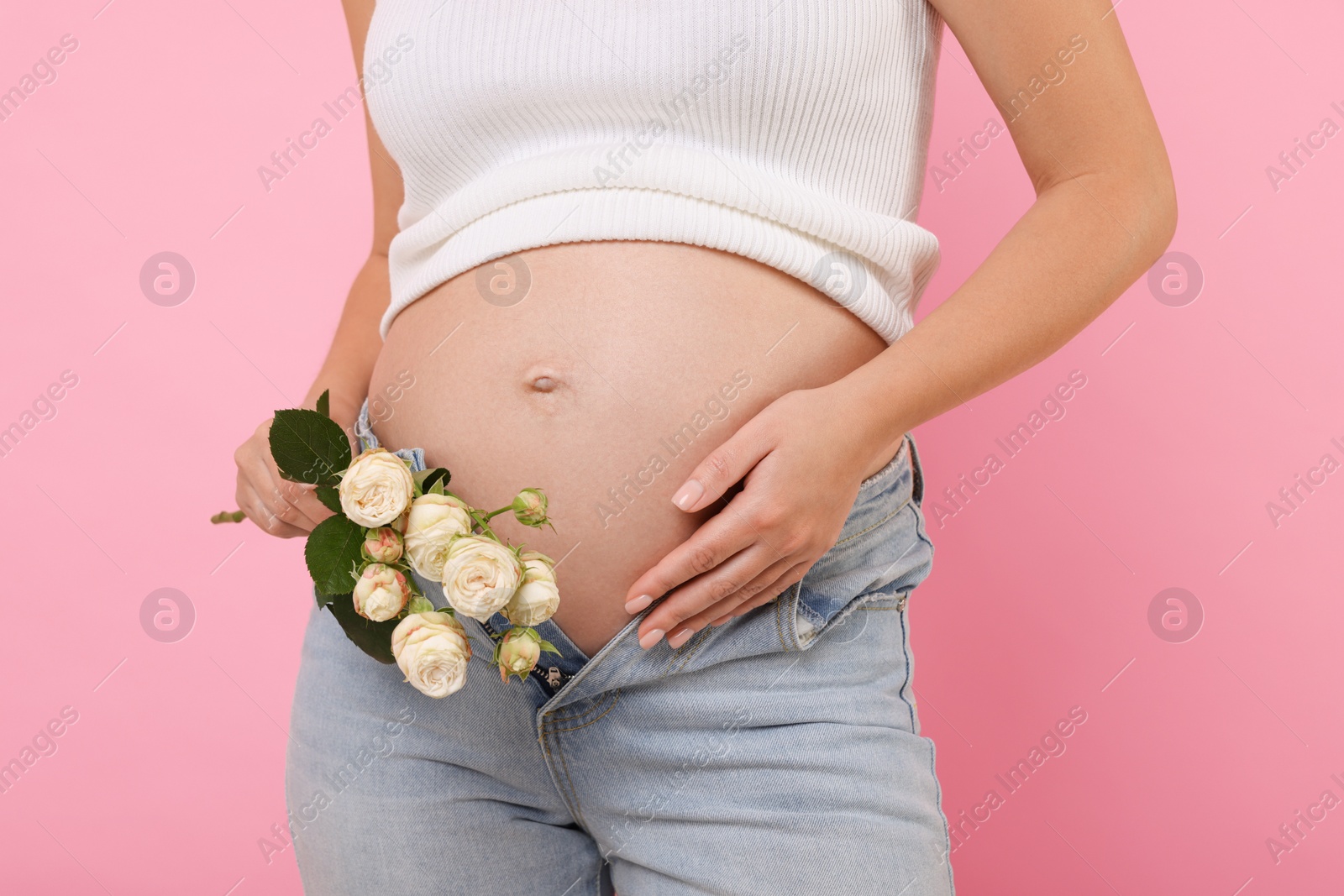 Photo of Pregnant woman with roses on pink background, closeup
