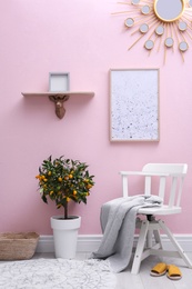 Potted kumquat tree near pink wall indoors. Interior design