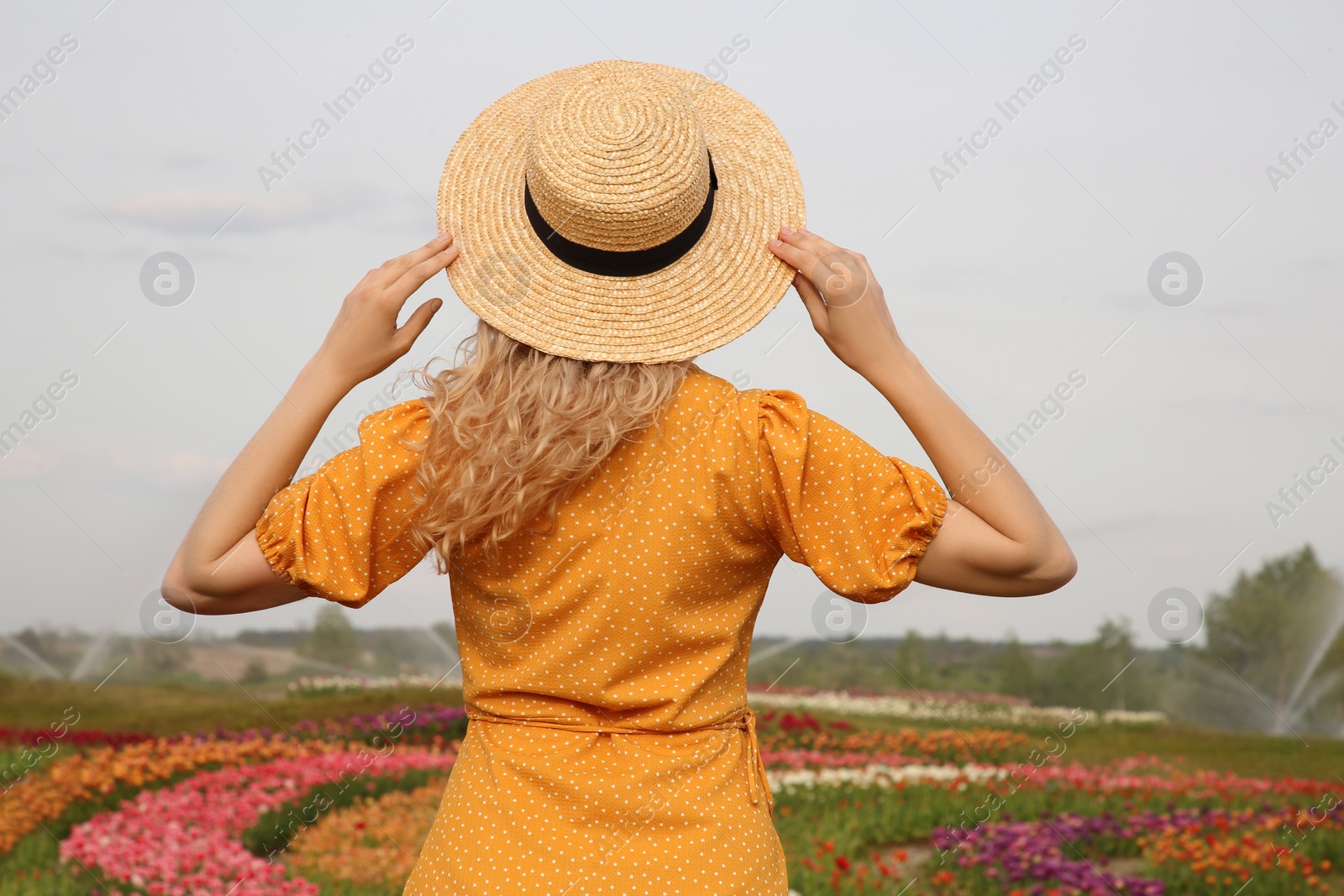 Photo of Woman wearing wicker hat in beautiful tulip field, back view