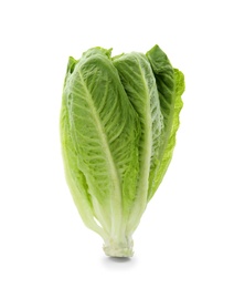 Photo of Fresh ripe cos lettuce on white background